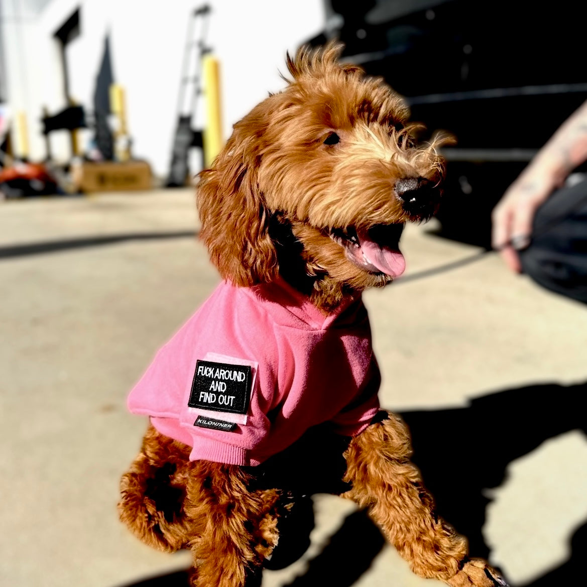 H1 Tactical Dog Hoodie