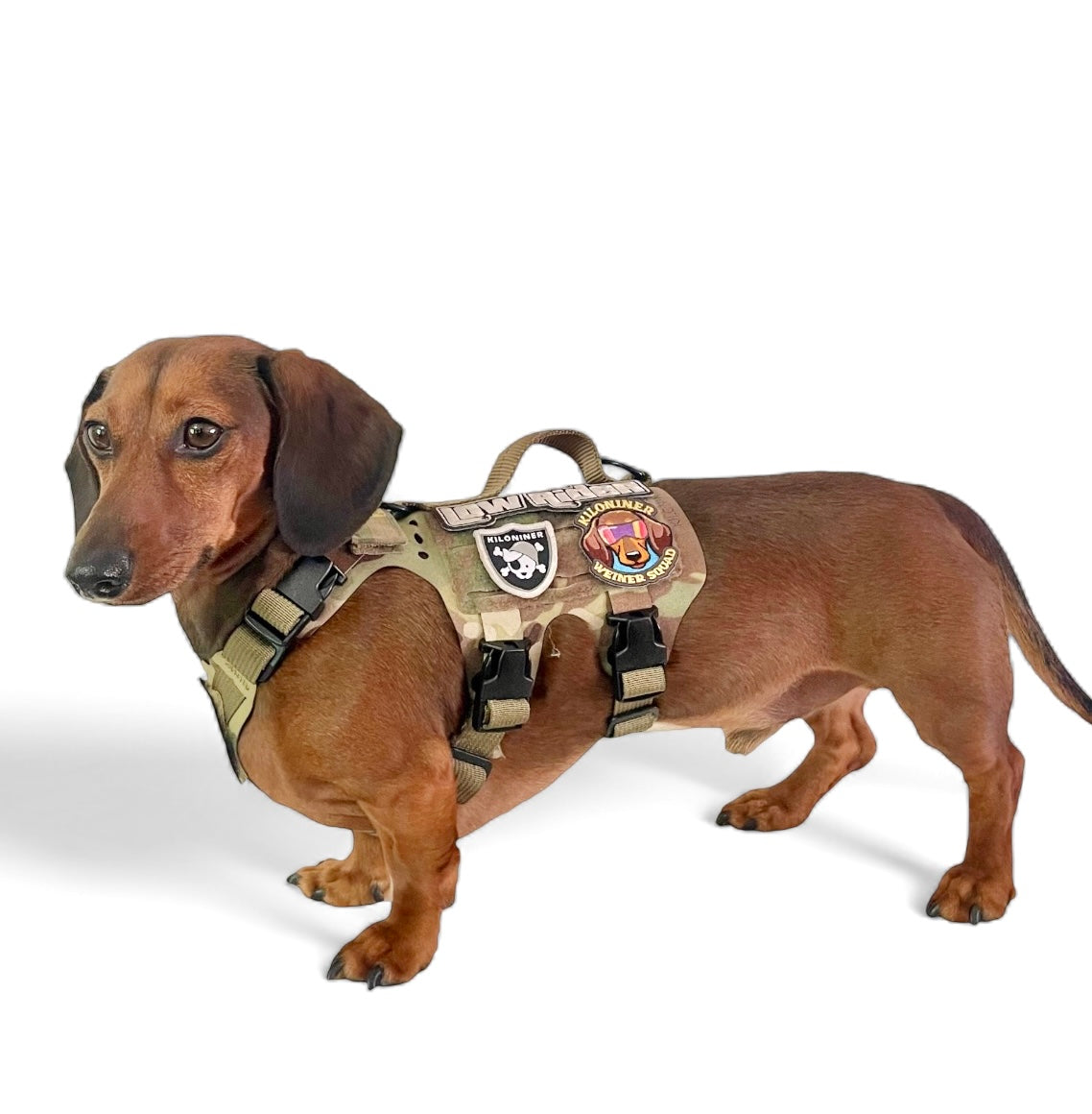 K9R - M5 MOLLE Light Vest